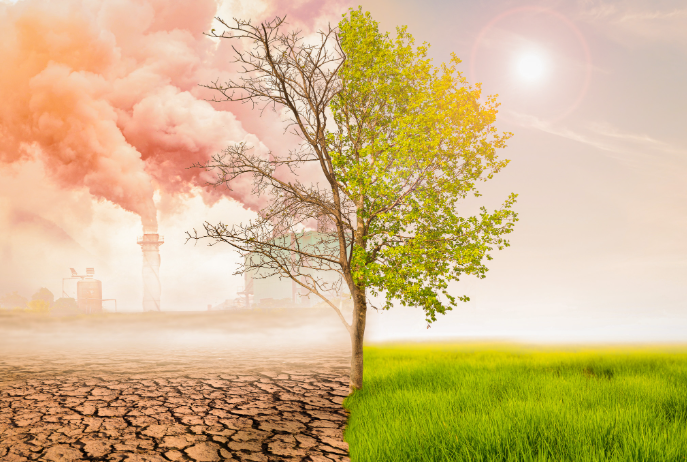 non creare danni significativi all'ambiente